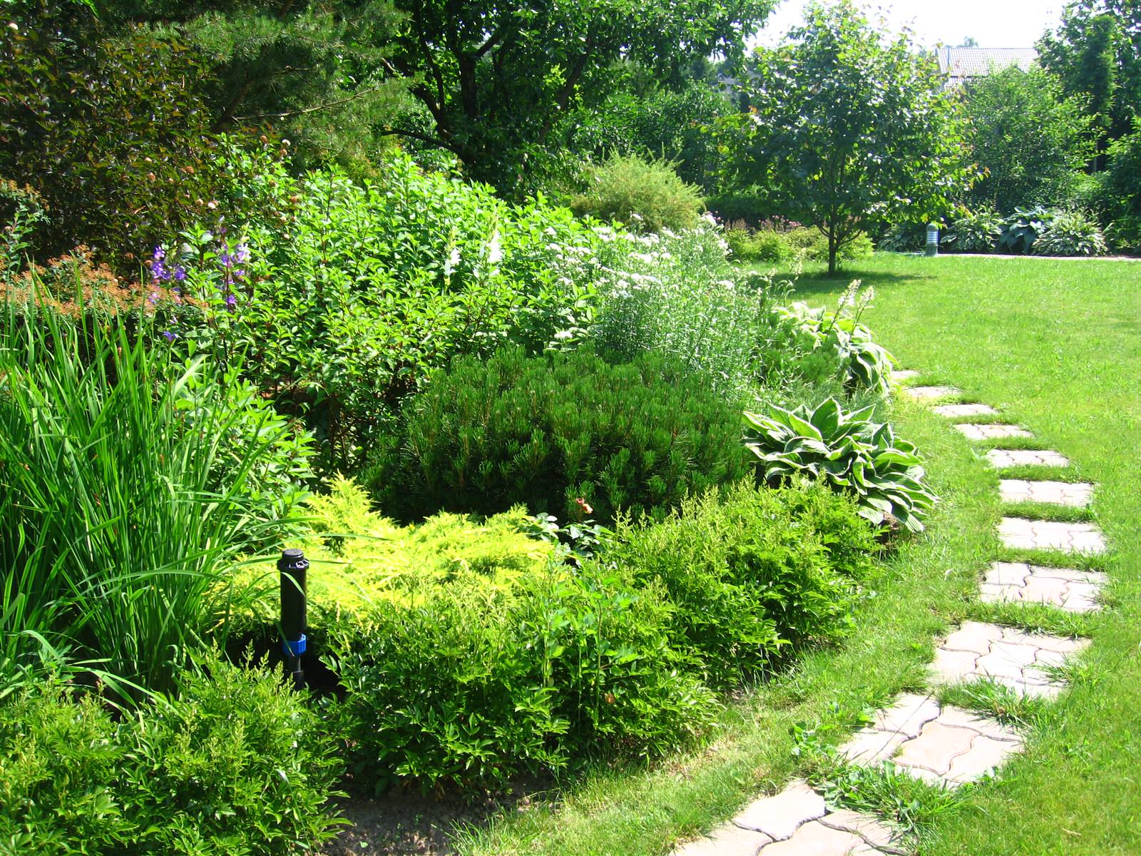 Сад в английском стиле