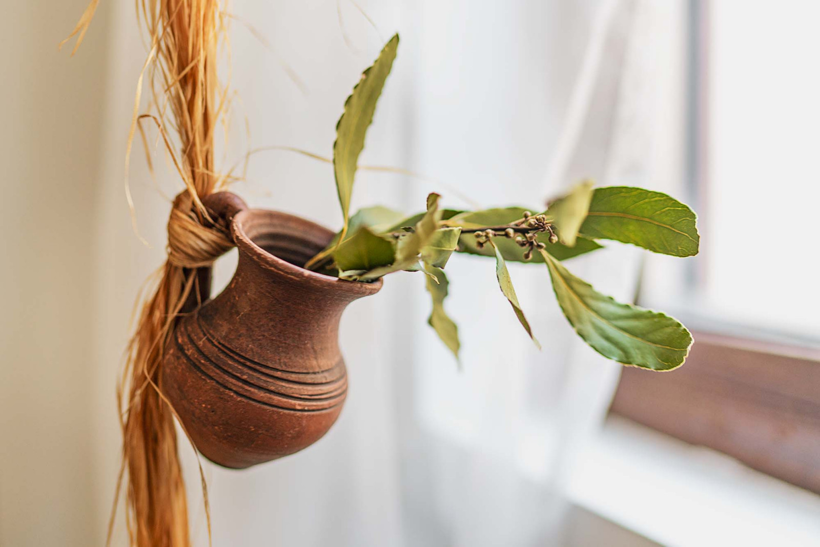 Обложка проекта: Варна, Ул. Д-р Василаки Пападопулу 10