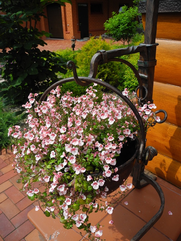 Городецкий район