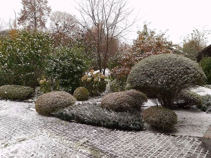 Сенькино московская обл