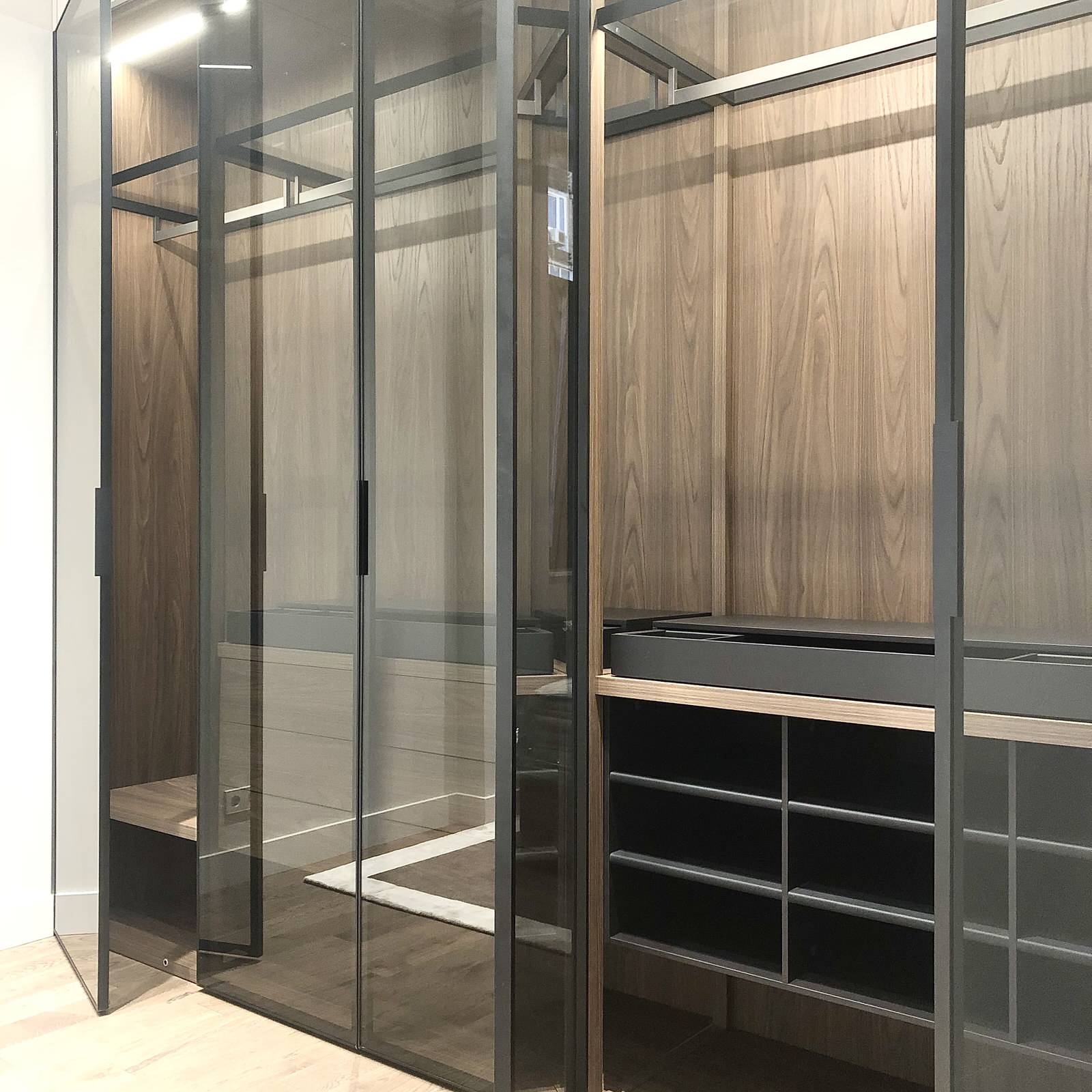 Обложка проекта: Гардеробы со стеклянными дверьми