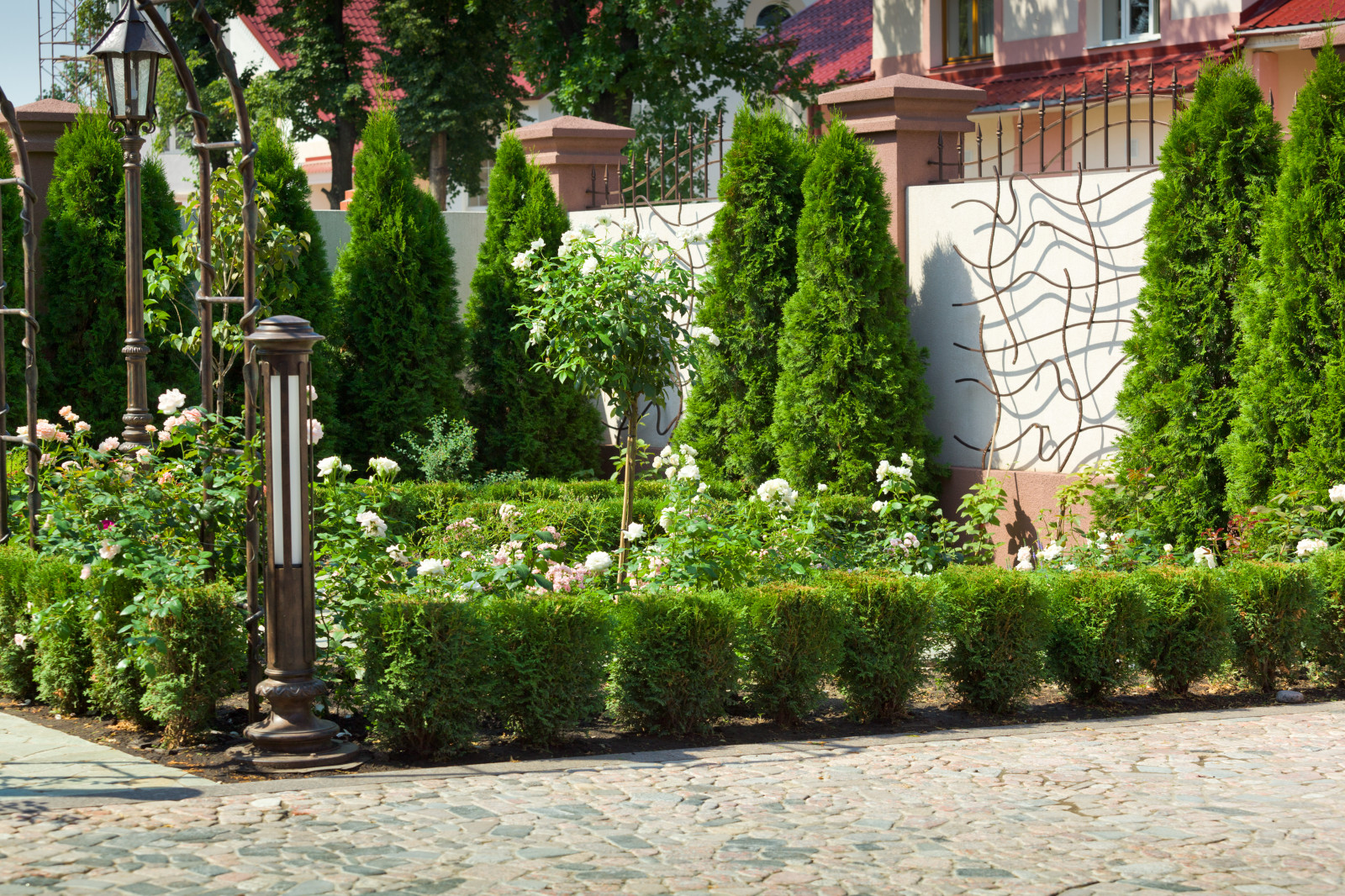 Розарий в частном саду