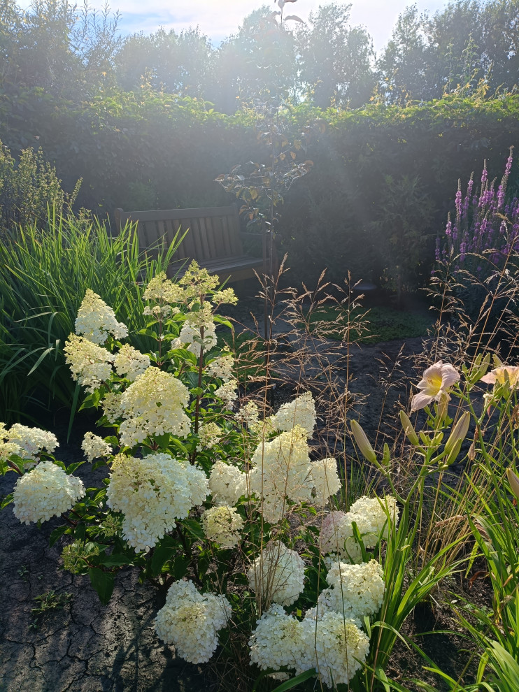 Современный цветник