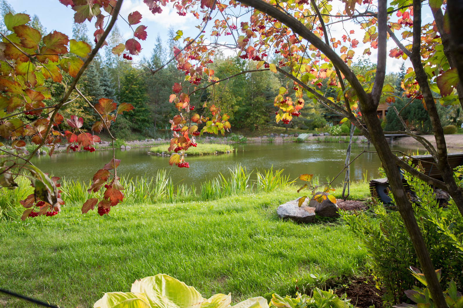 Парк в  Шаховском районе