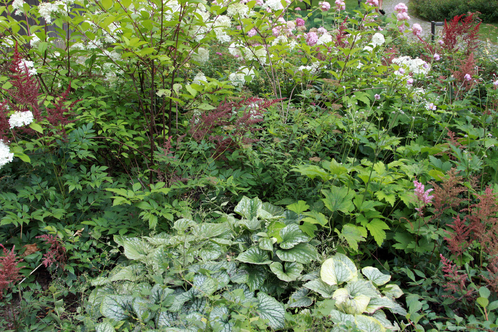 Теневой цветник