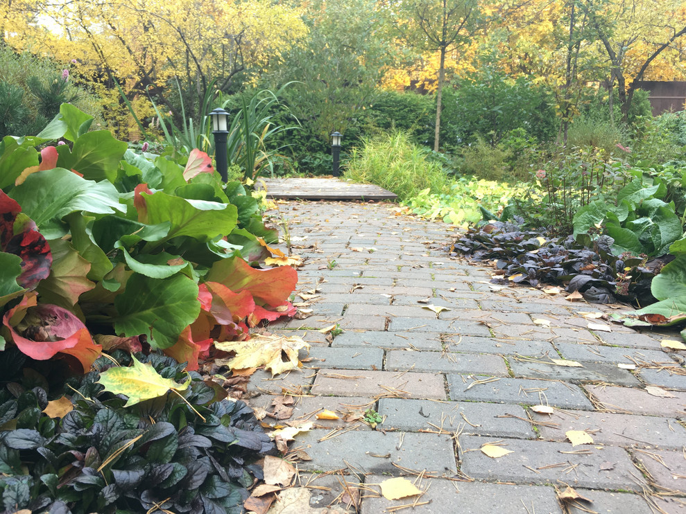 Белкин сад. Осень 2019