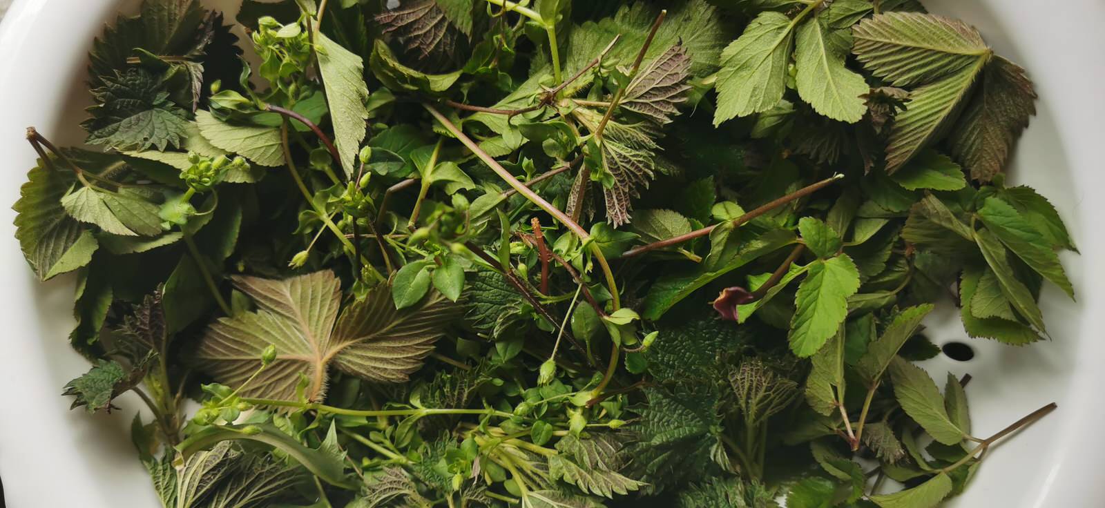 Как правильно: Делать зеленые смузи