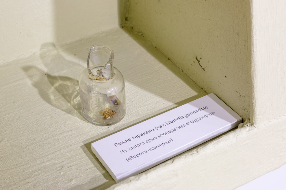 После 1917: Дома-коммуны, авангардные интерьеры и революция быта