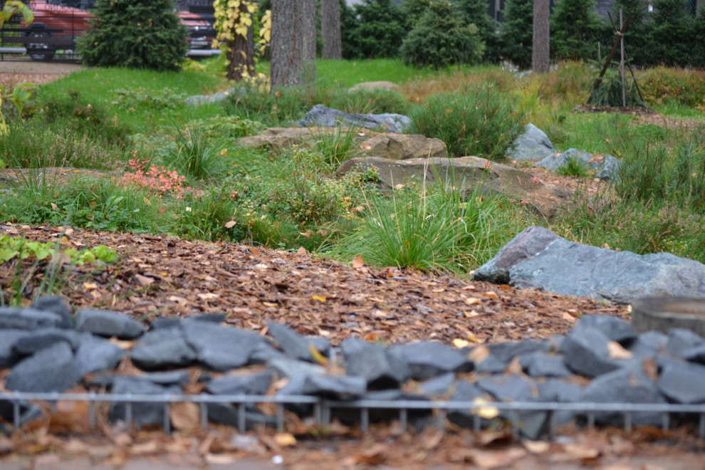 Райт и Ленинградский лес