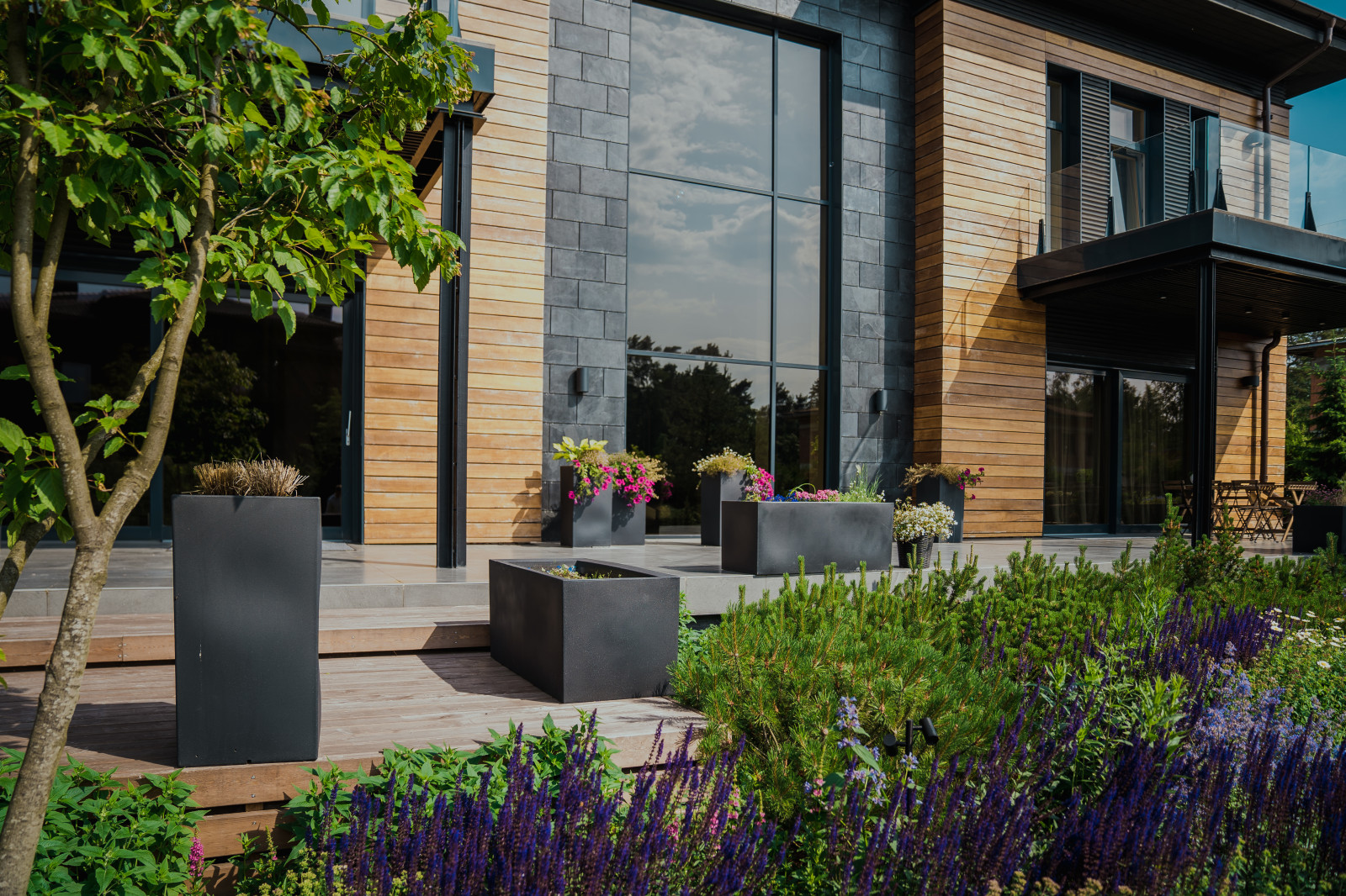 Обложка проекта: ДИВНЫЙ САД