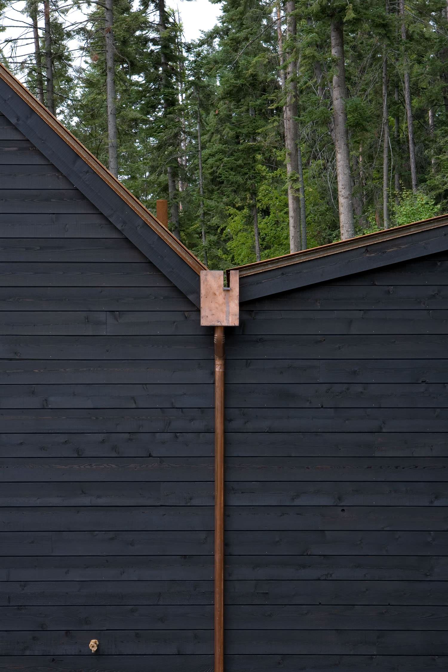 Houzz США: Современная интерпретация бревенчатого дома в Монтане