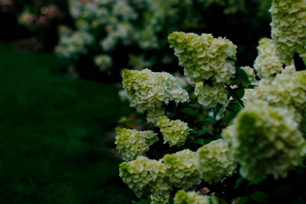 Нижегородский дворик