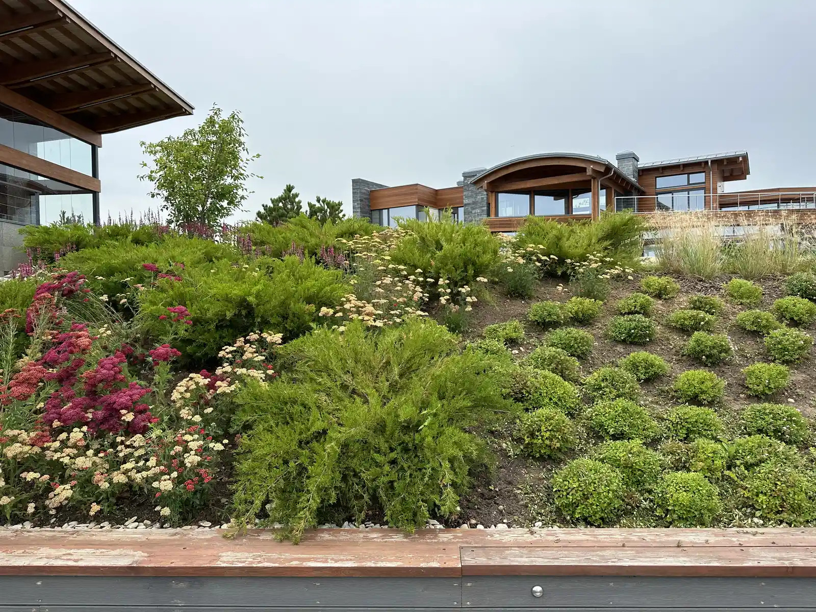 «НА ЗАПОВЕДНЫХ БЕРЕГАХ»