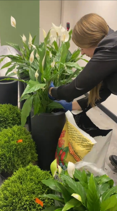 Офис Файн Юнион г. Санкт-Петербург