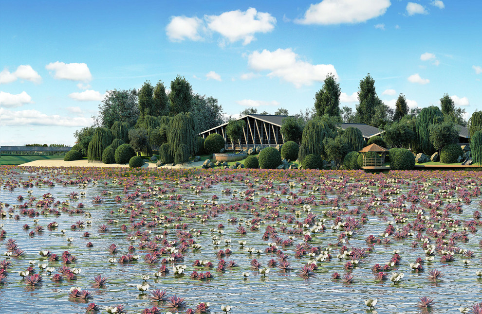 Остров Лотос. Астрахань