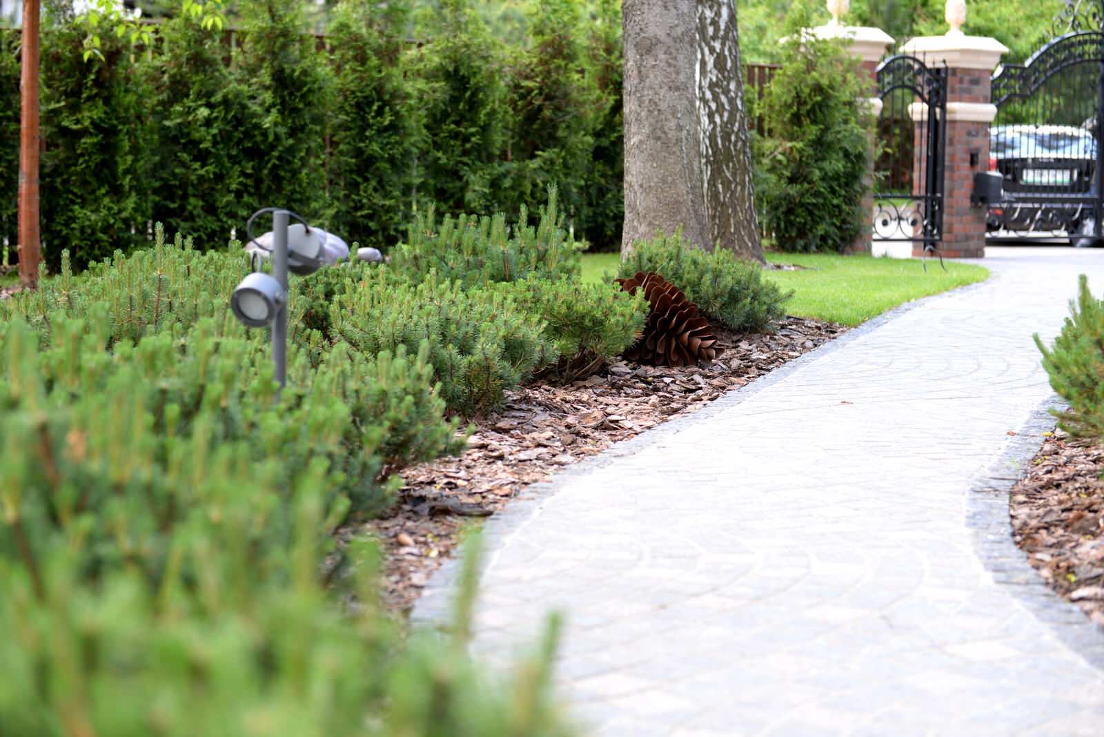 Новогорск 2021