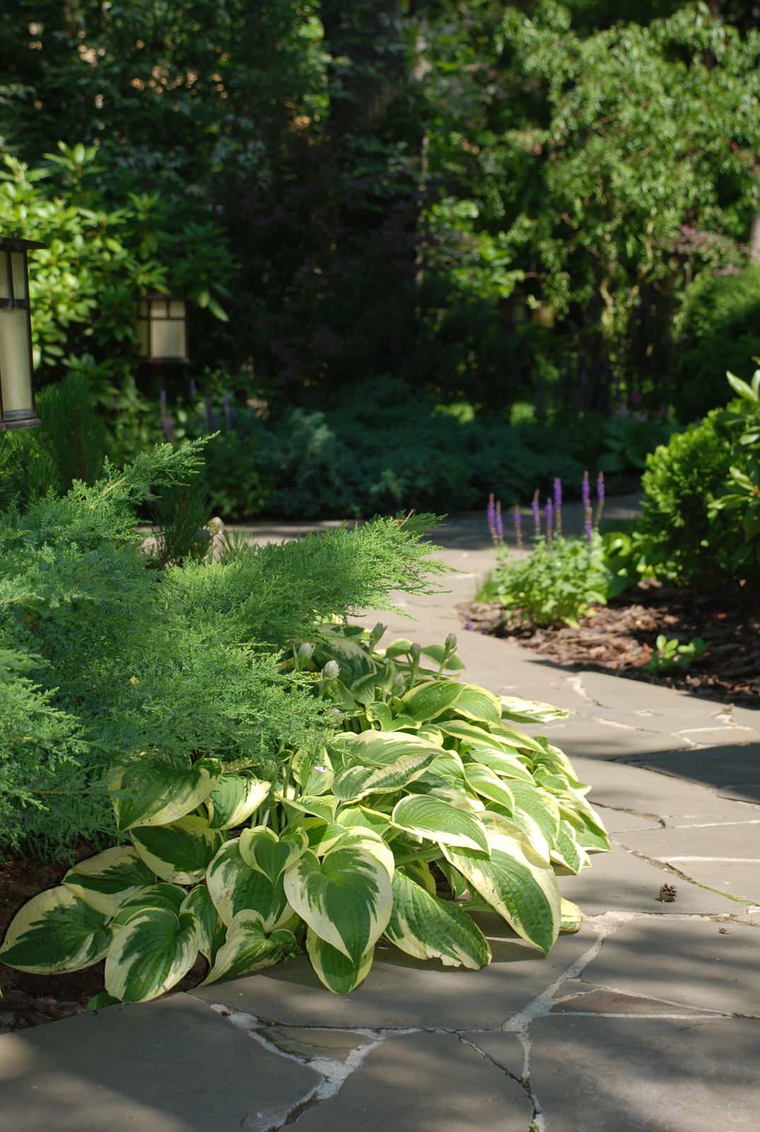 Лесной участок в КП "РИИТА"