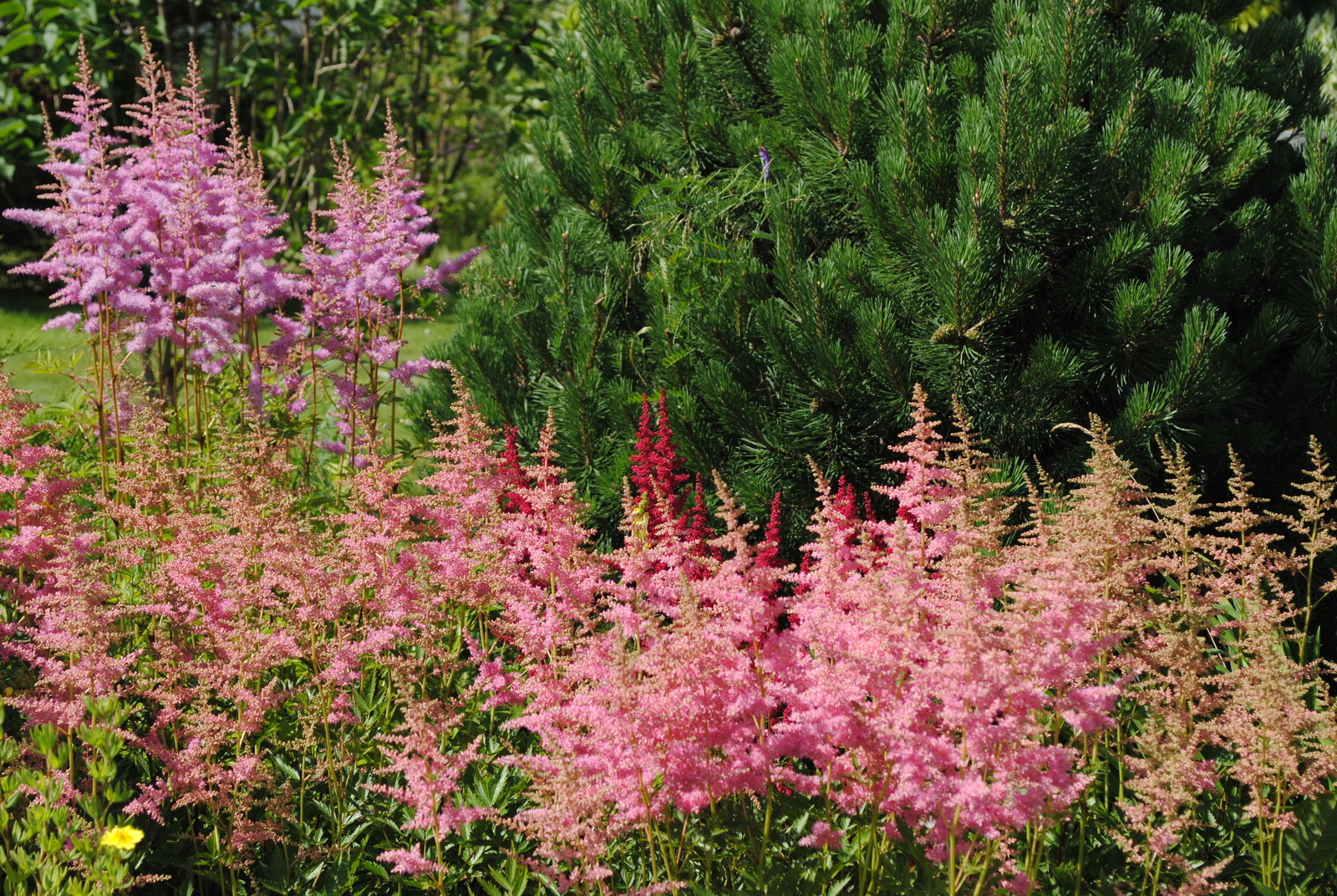 КП Графские пруды