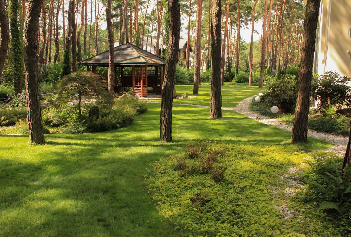 Тенистый сад в лестном массиве