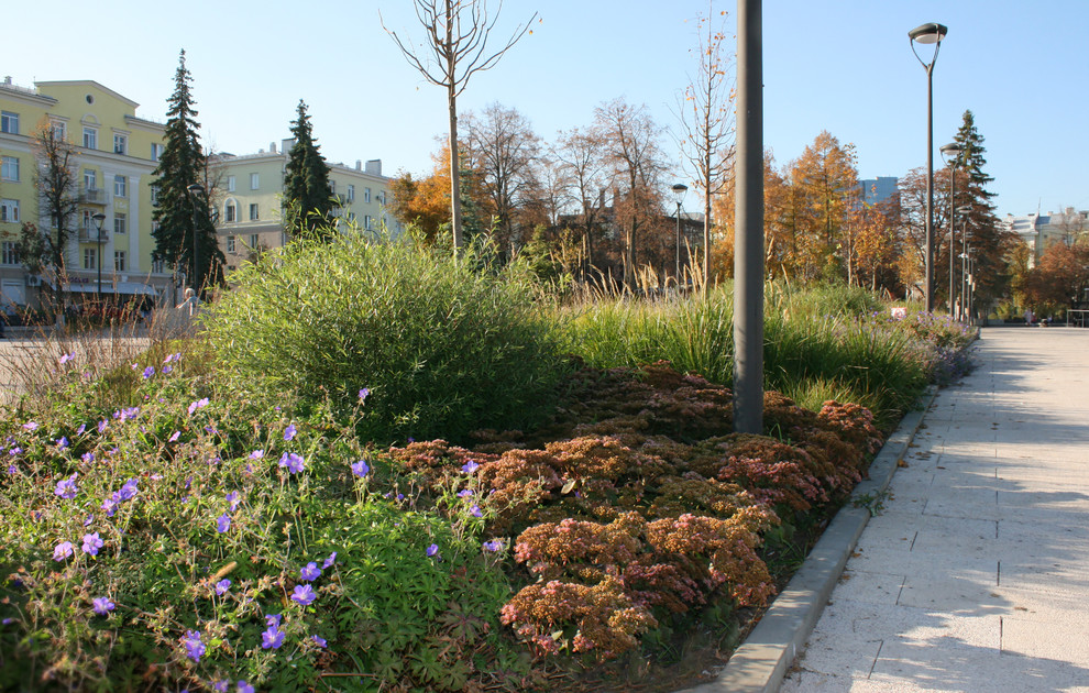 Цветники Советской площади
