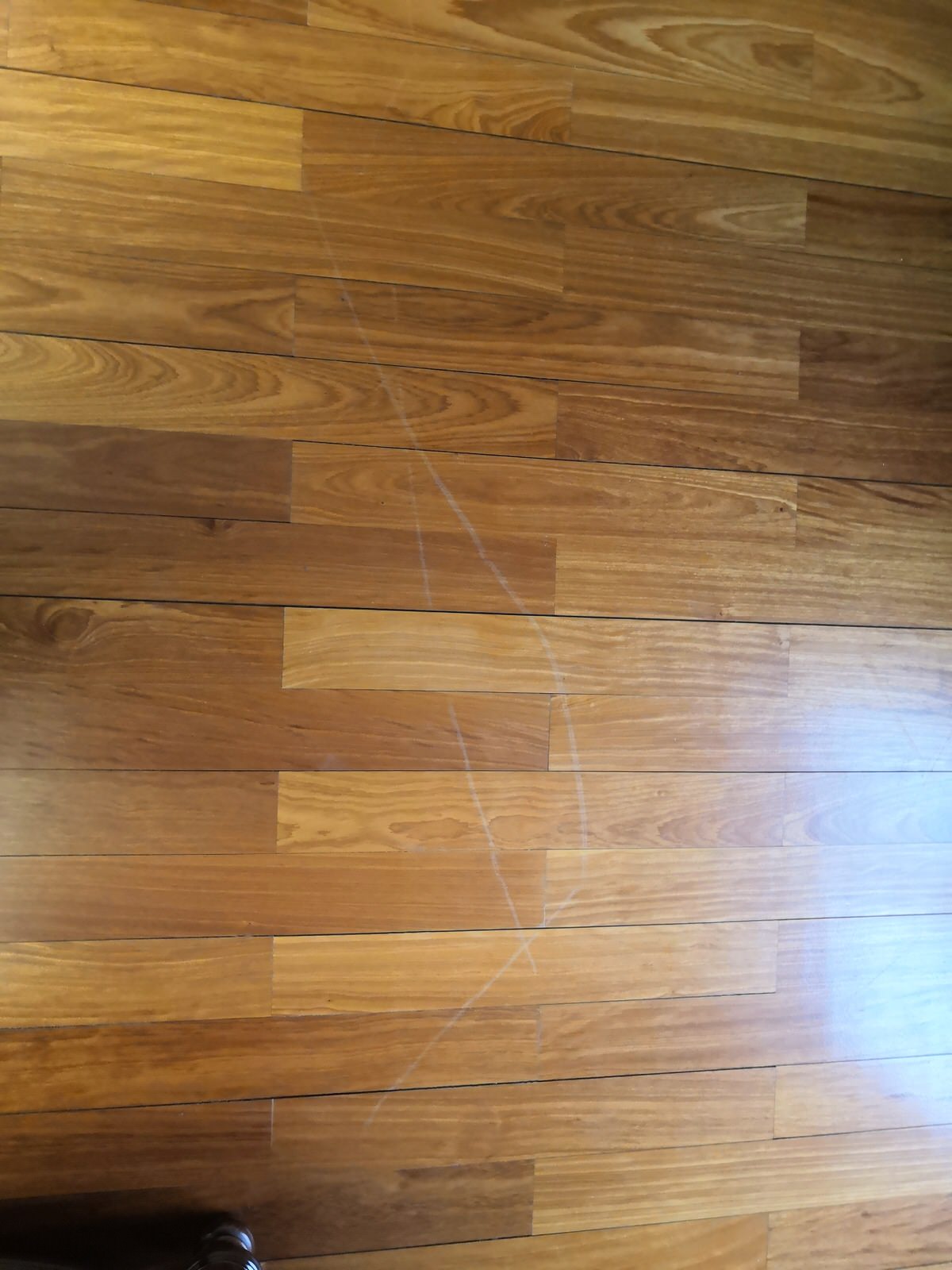 Андрей Котов