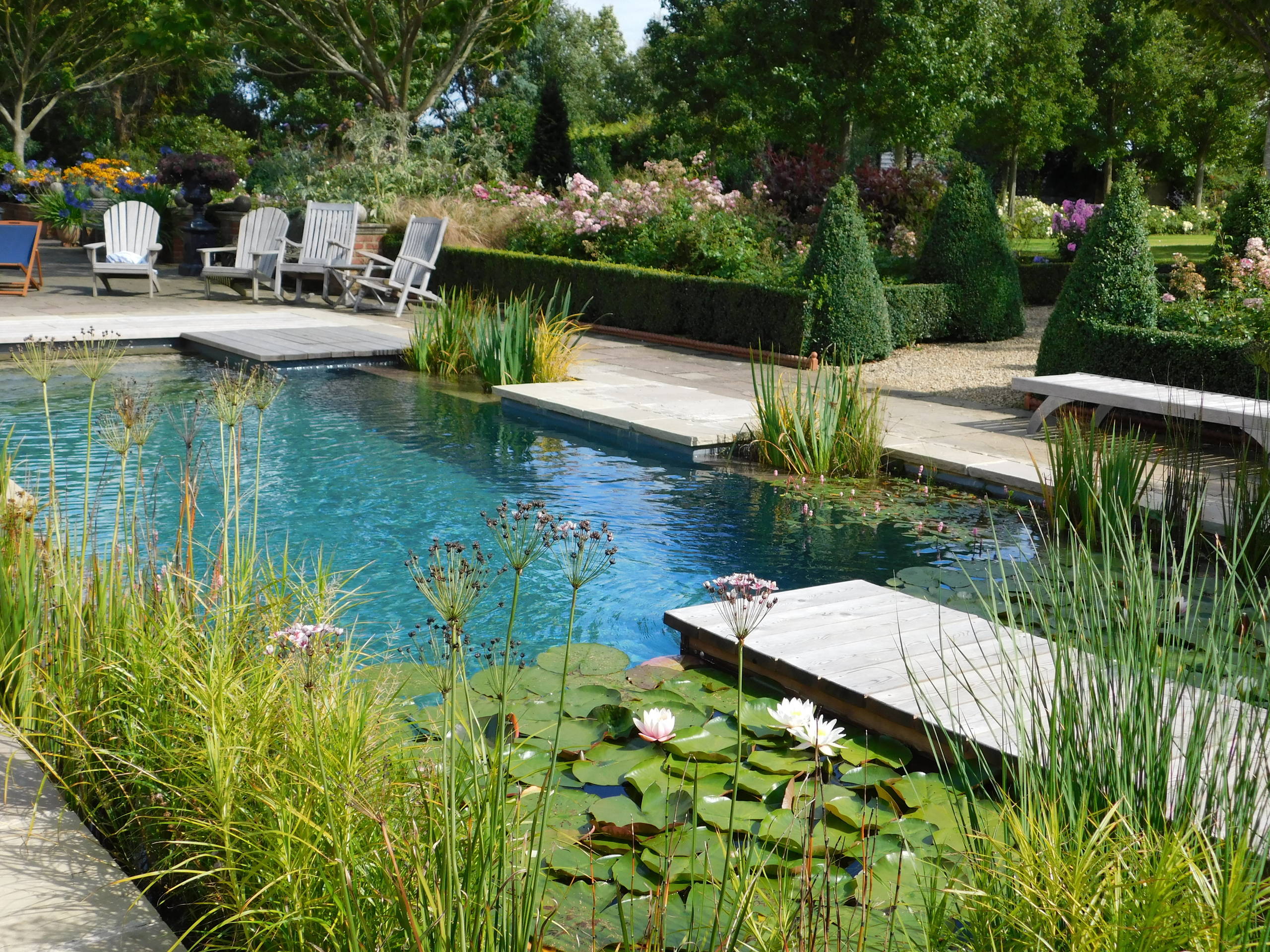 Фотоохота: 20 идей для природного бассейна [чистится растениями]