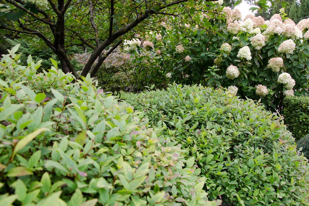 Ландшафтный сад КП "Новоглаголево", Киевское шоссе