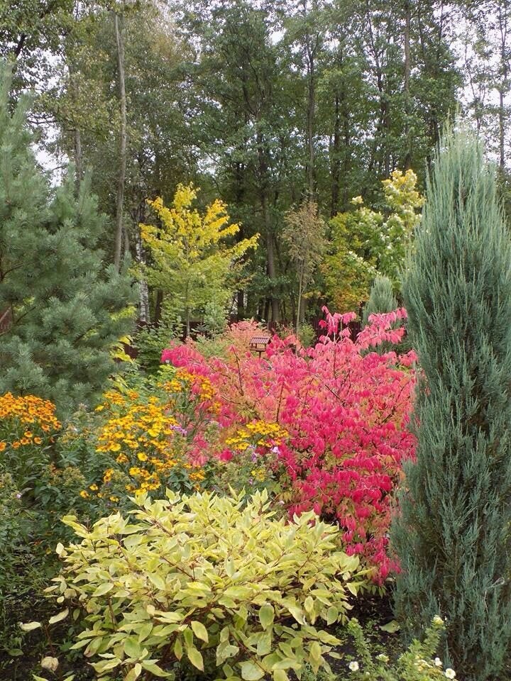 Обложка альбома: ИНТЕРЬЕР ДВОРА