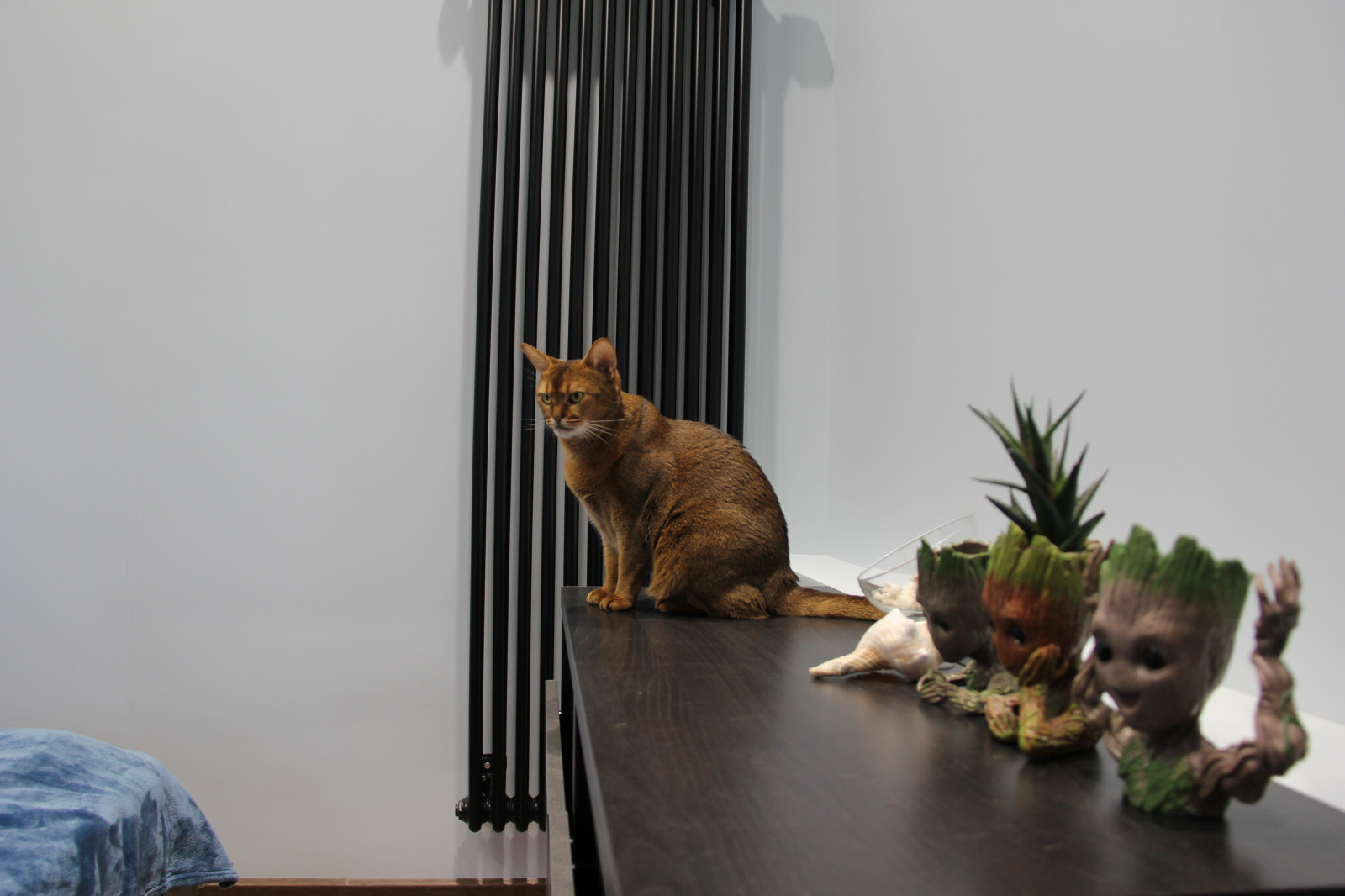 ЖК Солнечная система