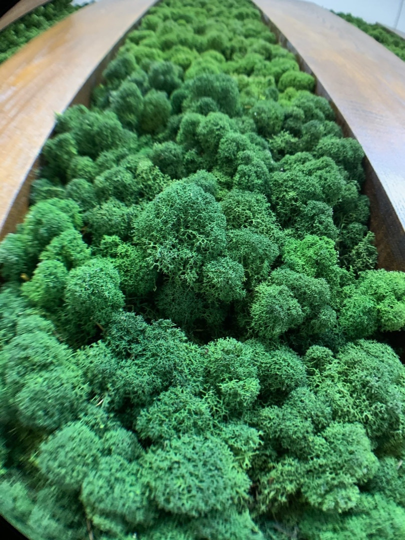 MOROSHKA design workshop