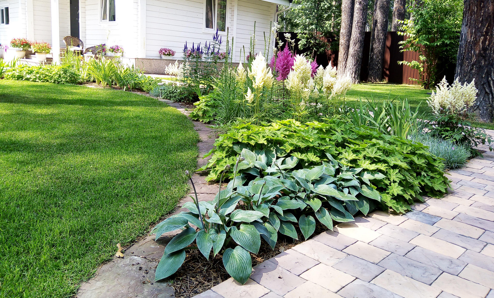 Цветники под пологом леса