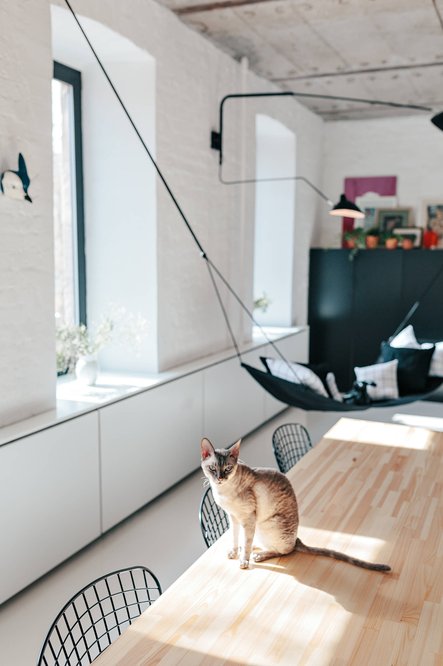 Houzz тур: Игра на контрастах в бывшем доходном доме