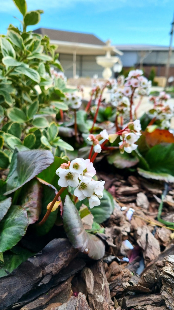 Реализация проекта "Французский дворик"