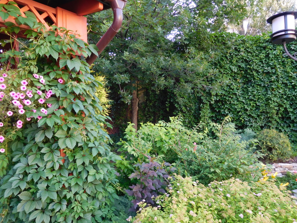 Вертикальное озеленение с помощью Девичьего винограда пятилисточкового