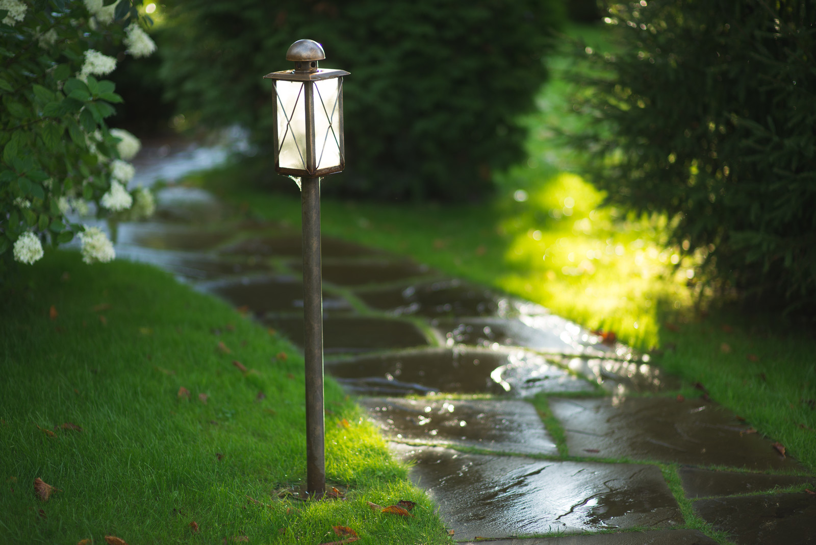 Регулярная классика