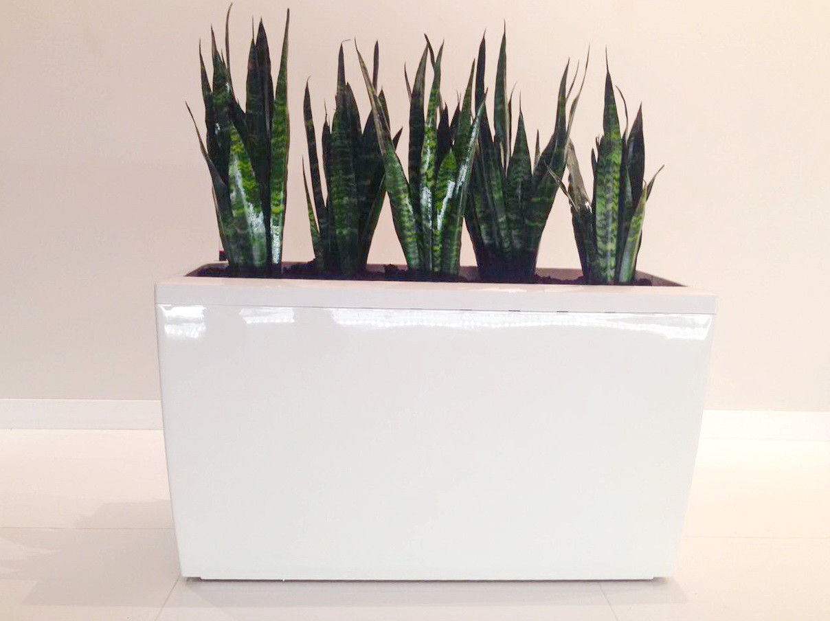 Озеленение частных квартир