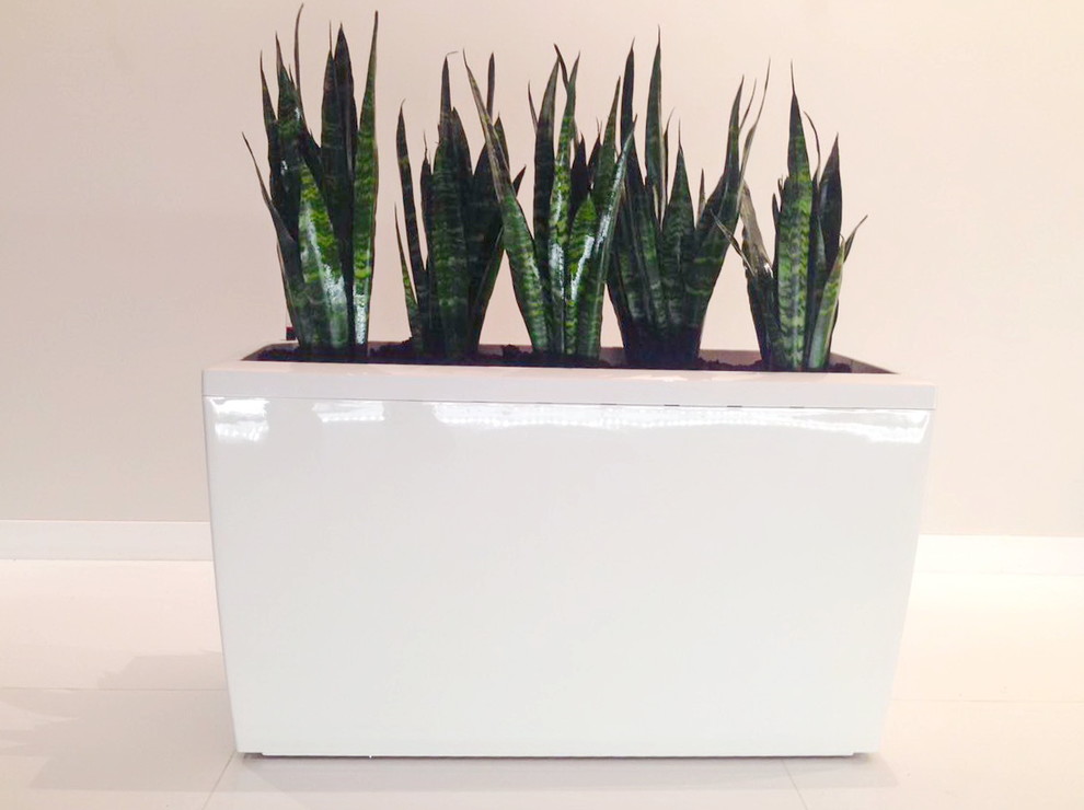 Озеленение частных квартир