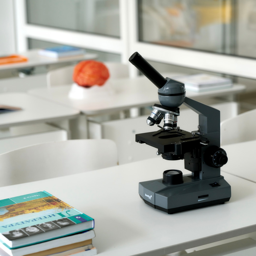 Частная школа Рид. Санкт-Петербург