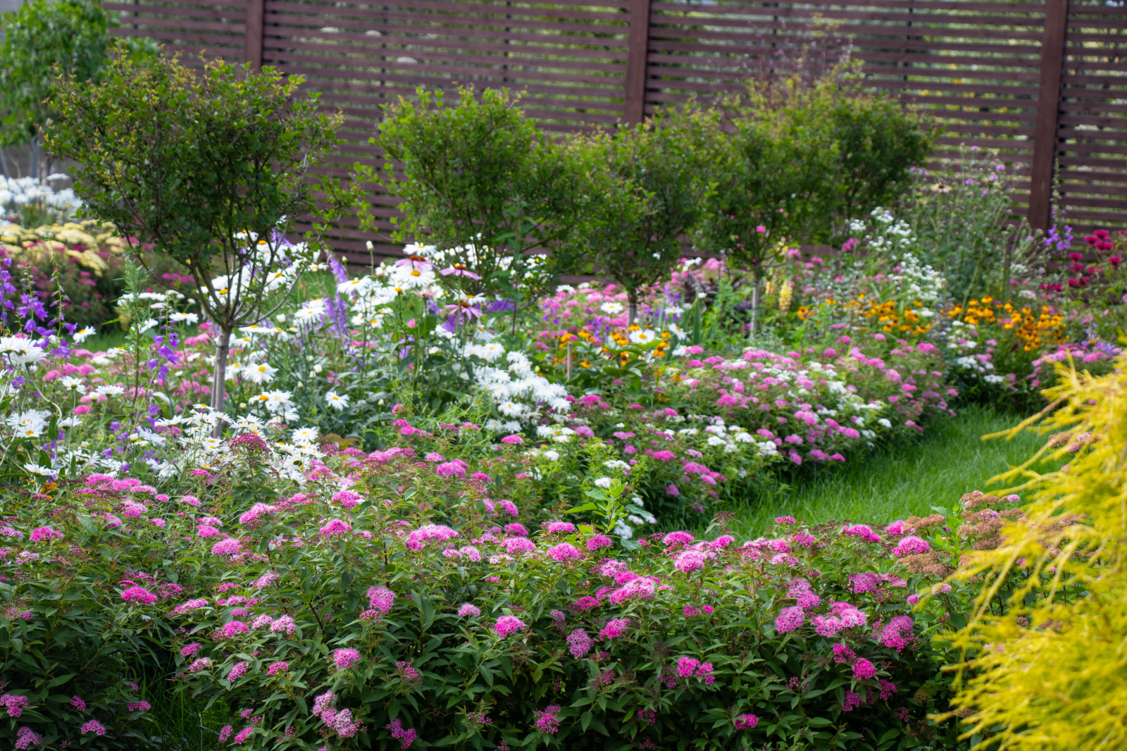 Сосновые берега