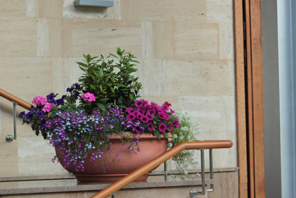 Проект недели: Кадочное озеленение в подмосковных Раздорах