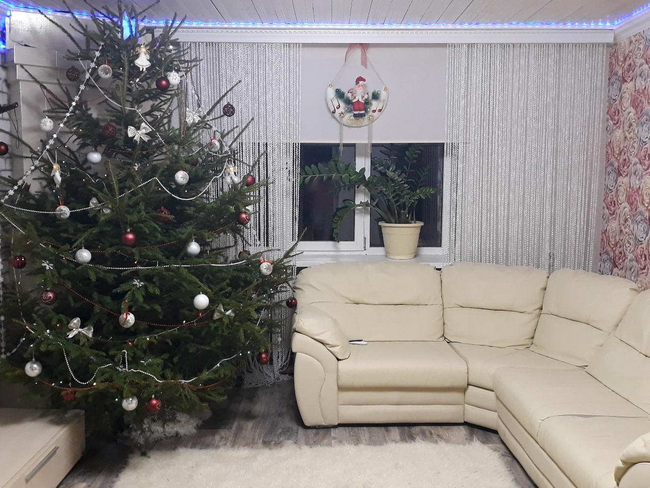 Обложка проекта: Нитяные шторы NITIOPT в оформлении Нового года 2022