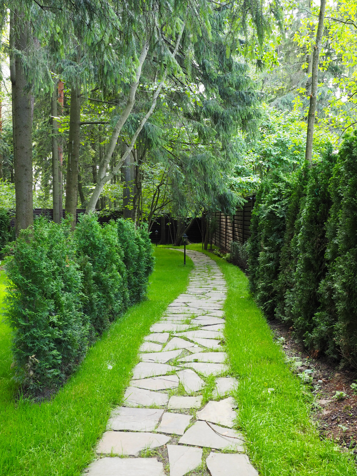 Проект Грибово