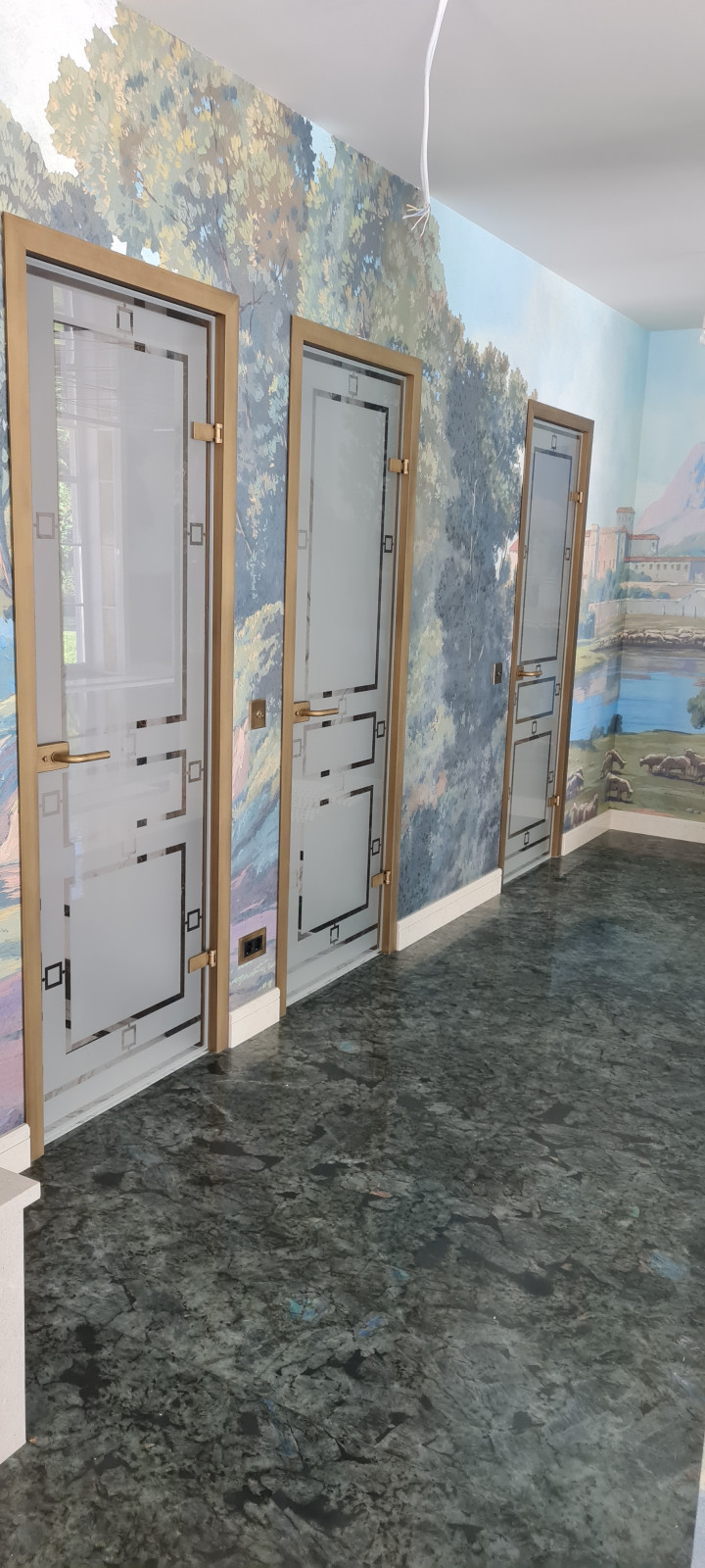 Стеклянные двери