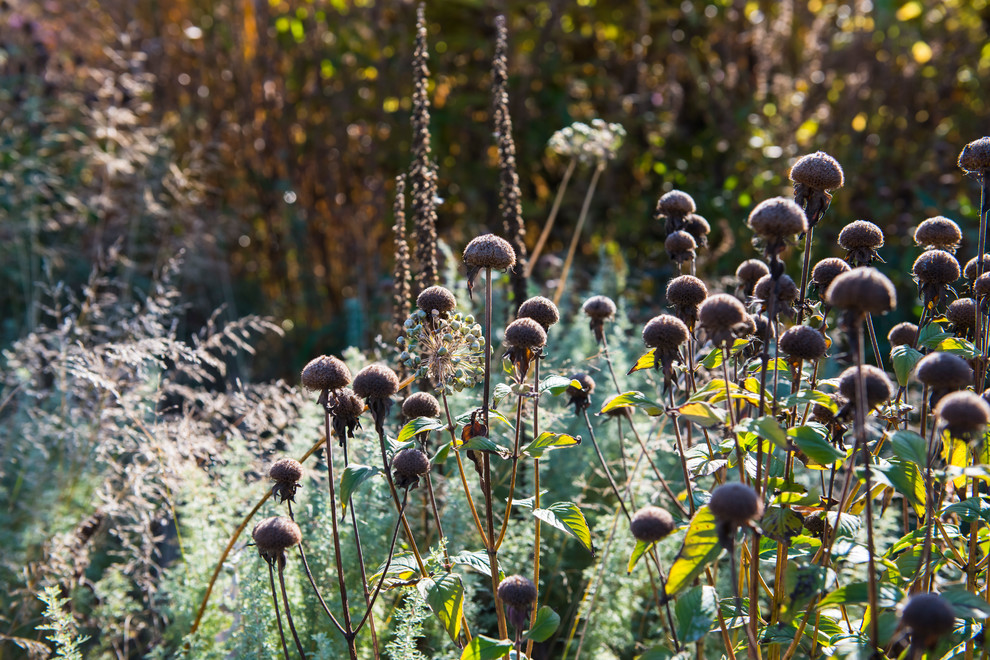 Большой сад в пригороде