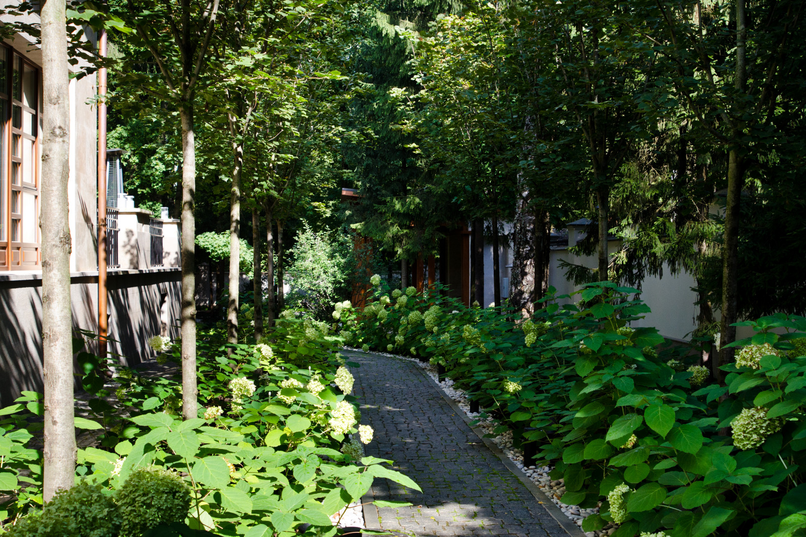 Глянцевый лес