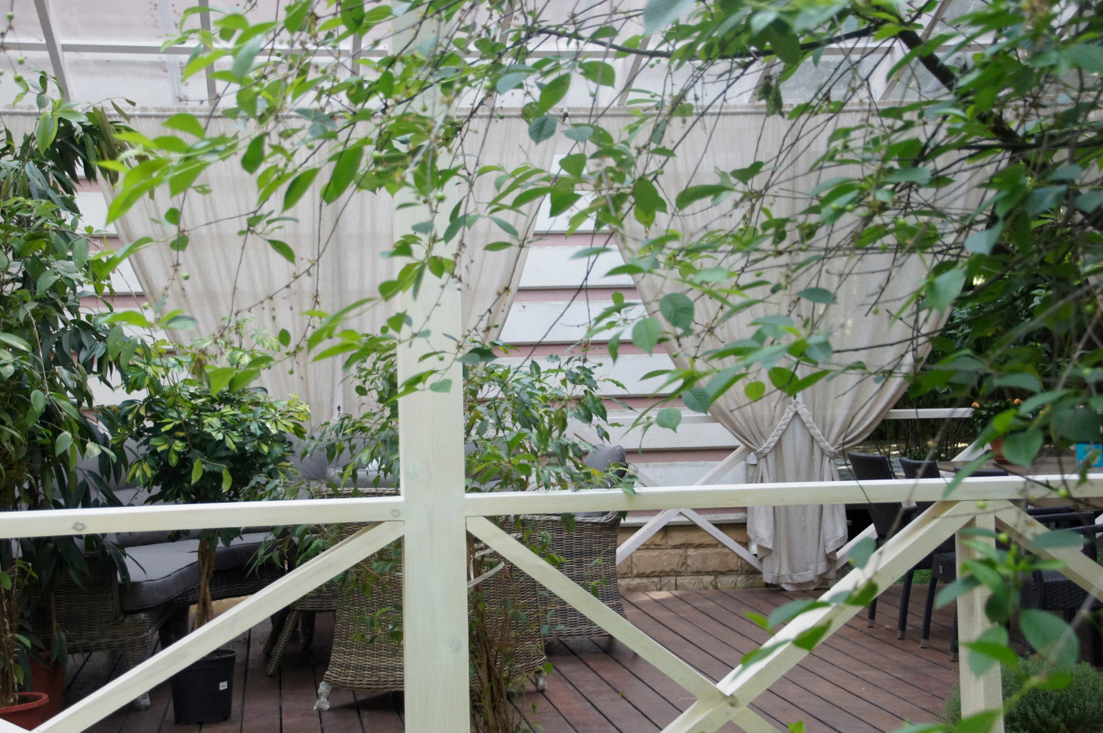 Серебряный бор