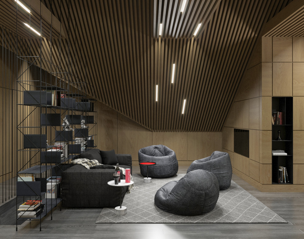 Комната подростка, чердак.