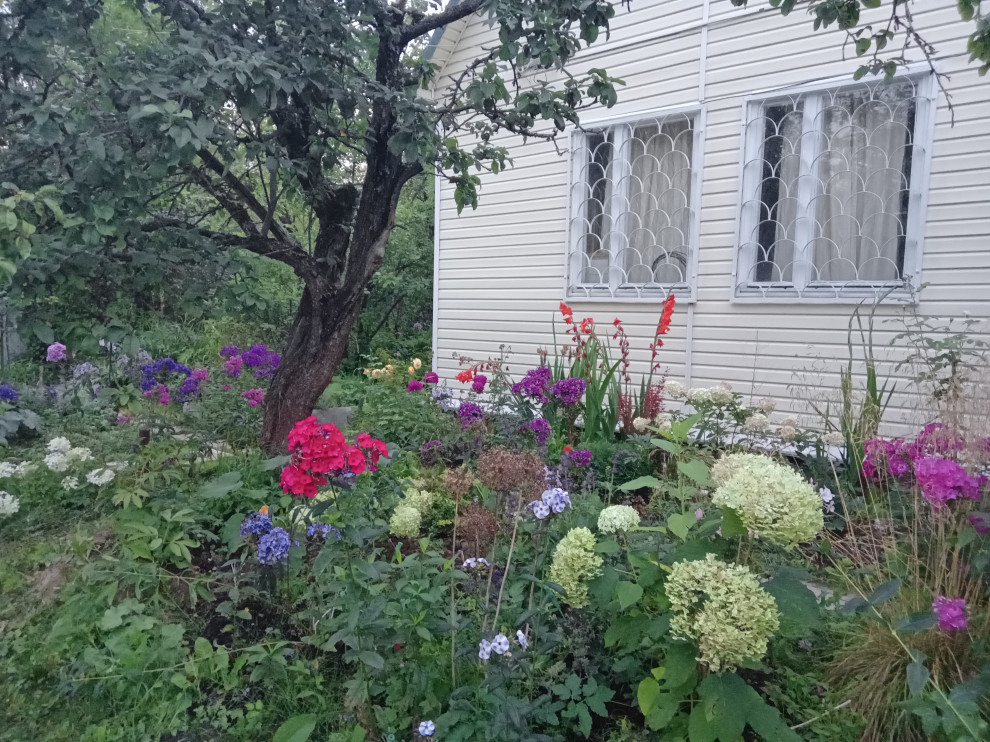 Долгое Ледово