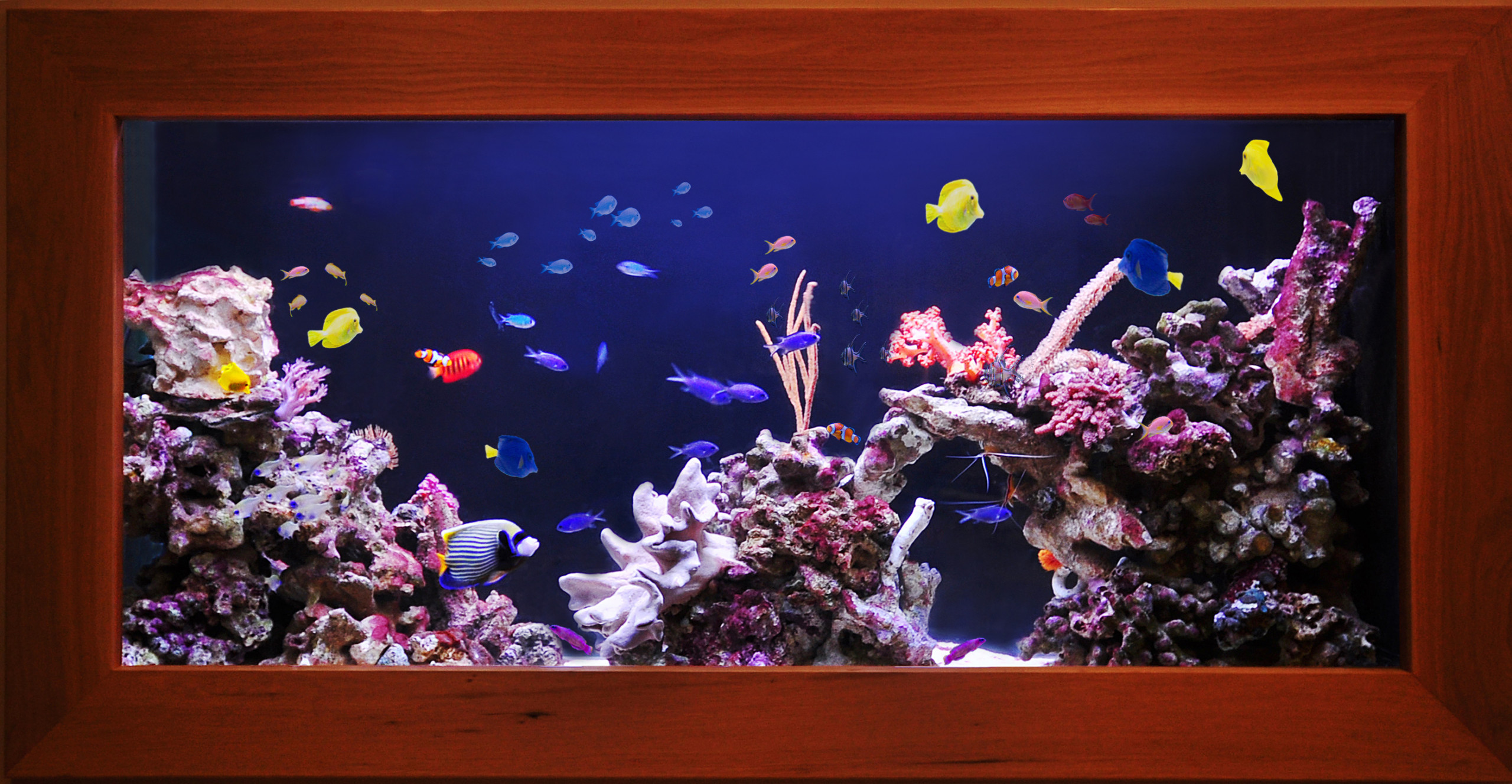 Водный мир: Как оформить аквариум внутри