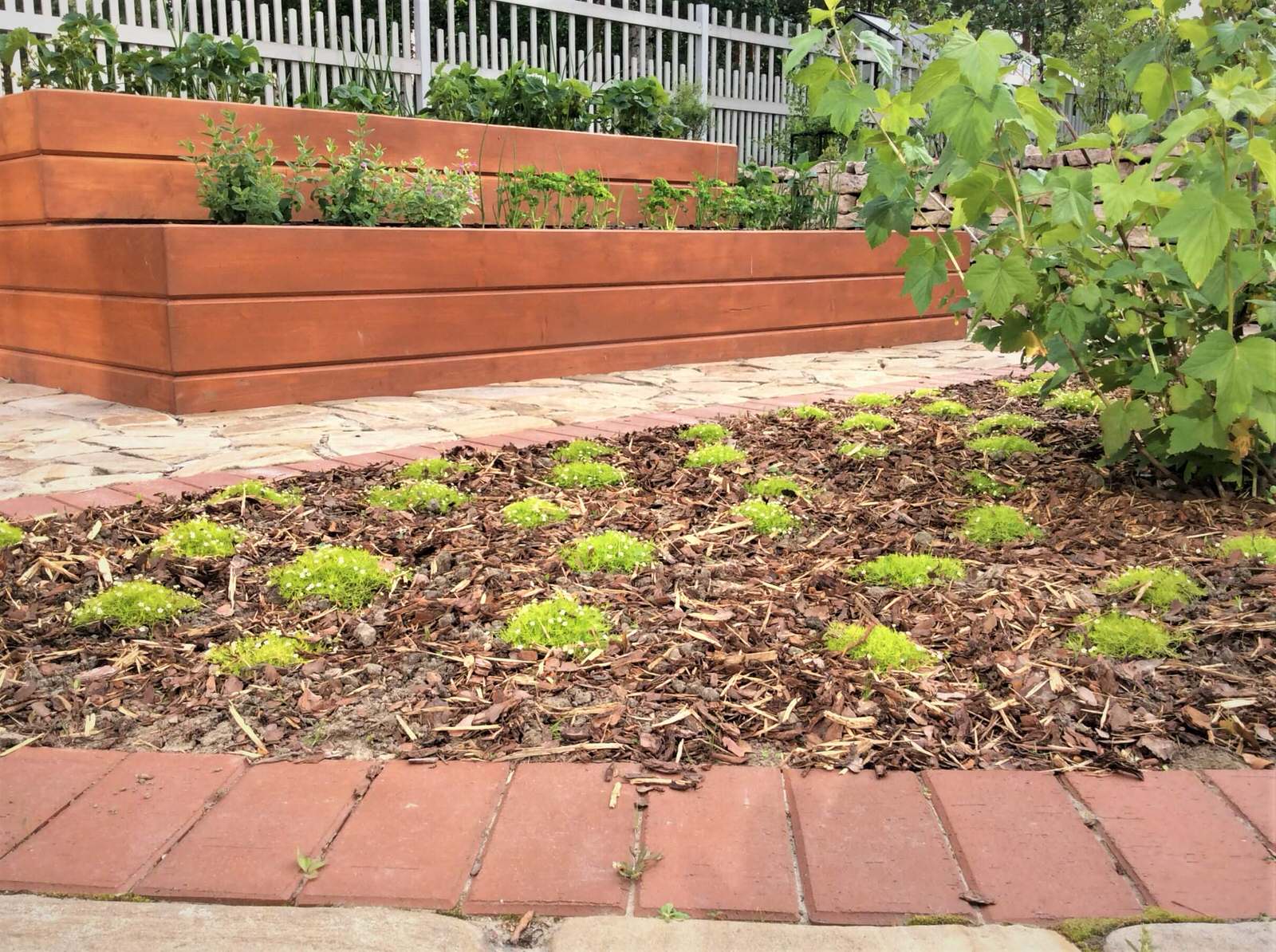 ПОЛЕТ ШМЕЛЯ